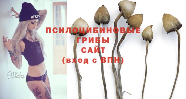 ешки Нефтегорск