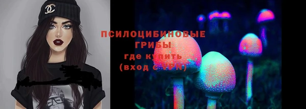 ешки Нефтегорск