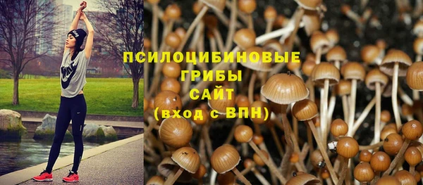 apvp Нефтекумск