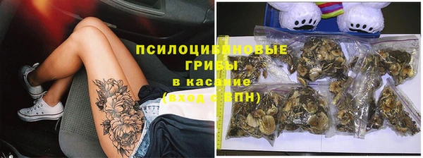 apvp Нефтекумск
