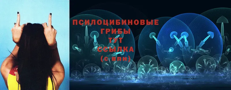 Псилоцибиновые грибы Magic Shrooms  Россошь 