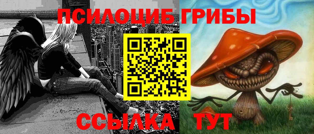 Псилоцибиновые грибы Psilocybe Россошь